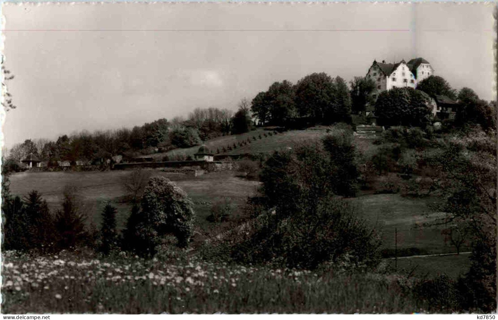 Schloss Wildegg - Sonstige & Ohne Zuordnung