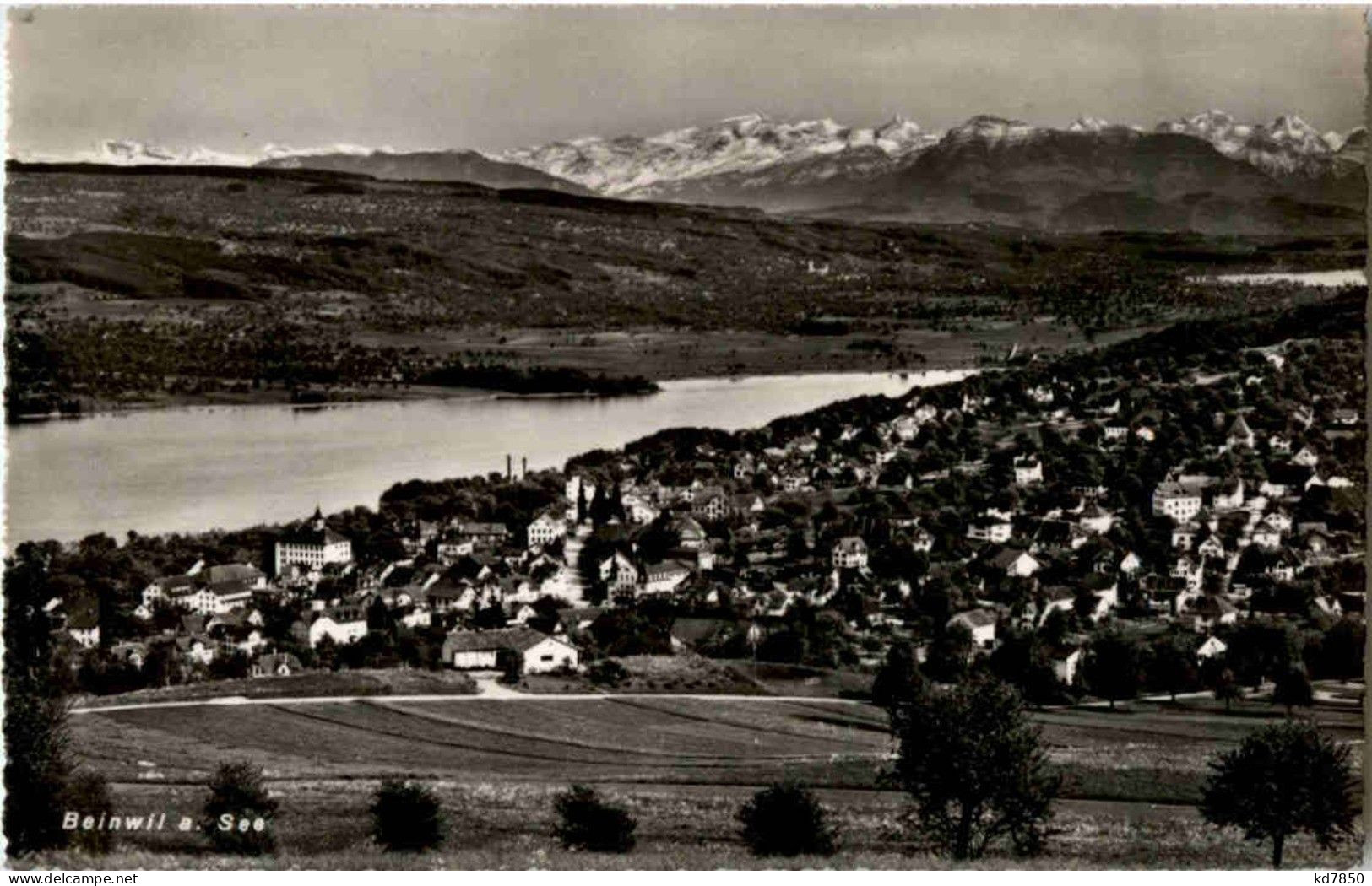 Beinwil Am See - Sonstige & Ohne Zuordnung