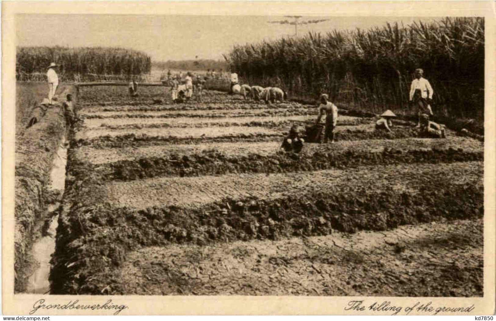 Soerabaia - The Filling Of The Ground - Indonésie