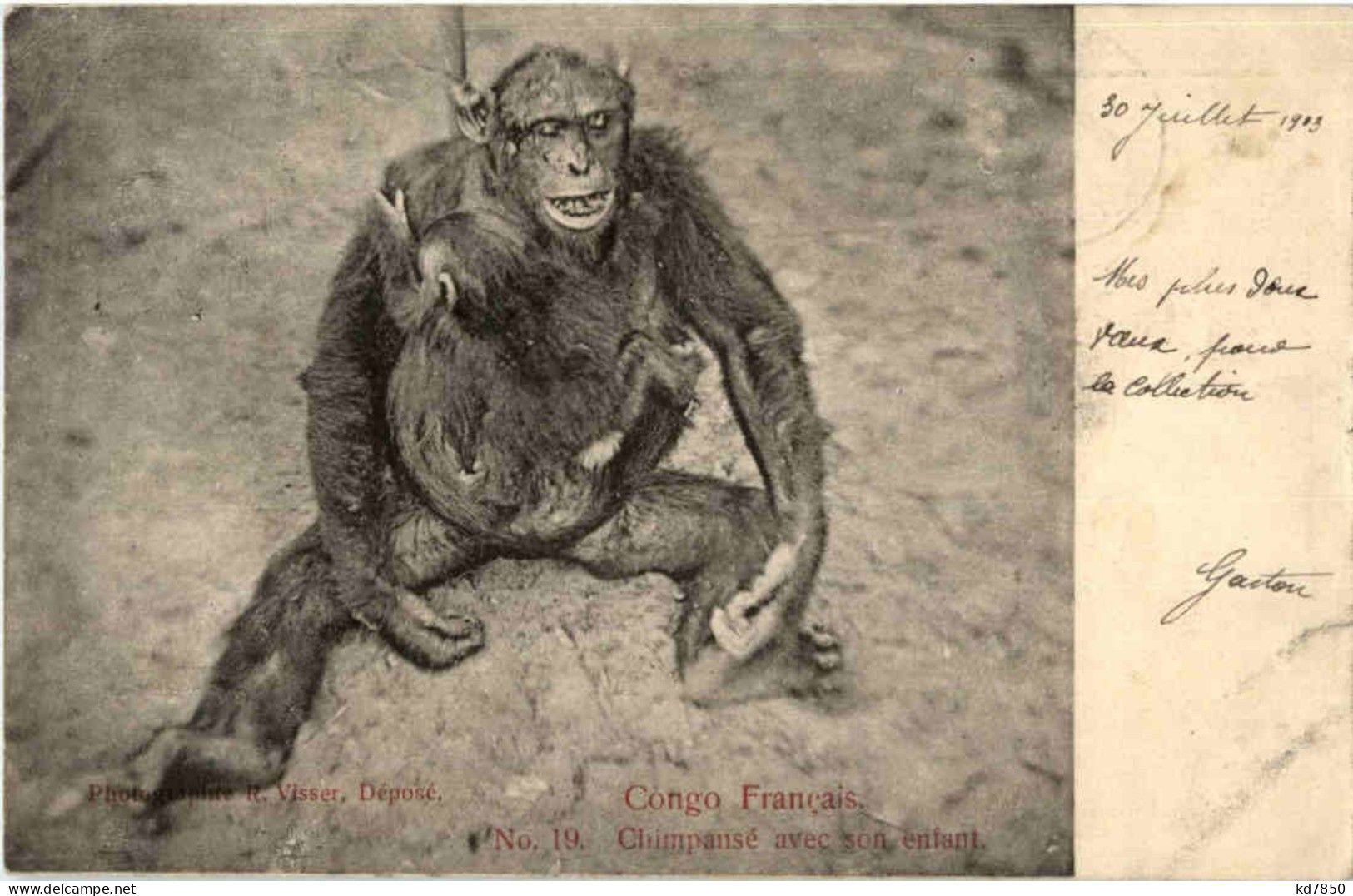 Chimpanse Avec Son Enfant - Monkey - Autres & Non Classés