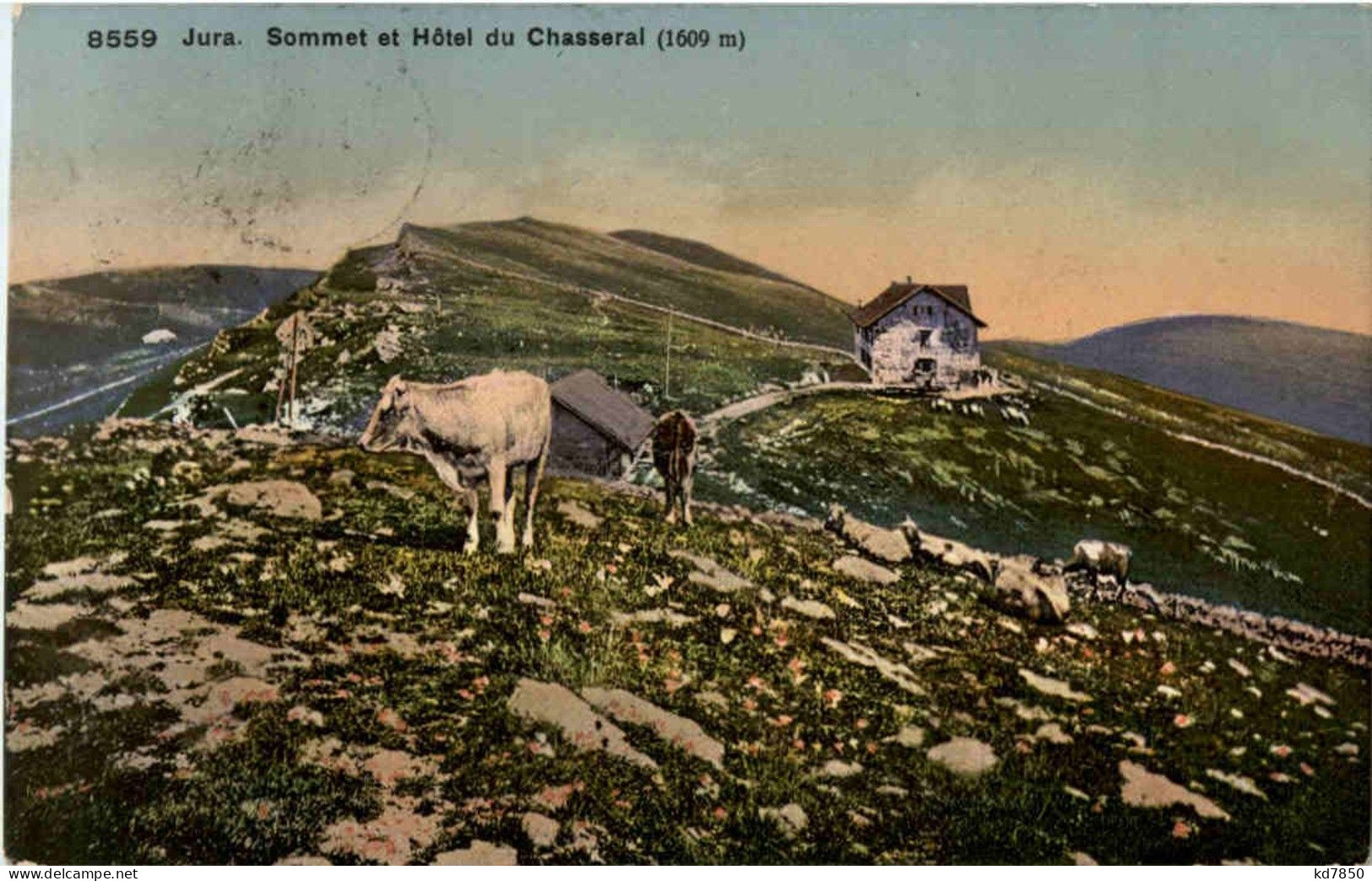 Sommet Chasseral - Other & Unclassified