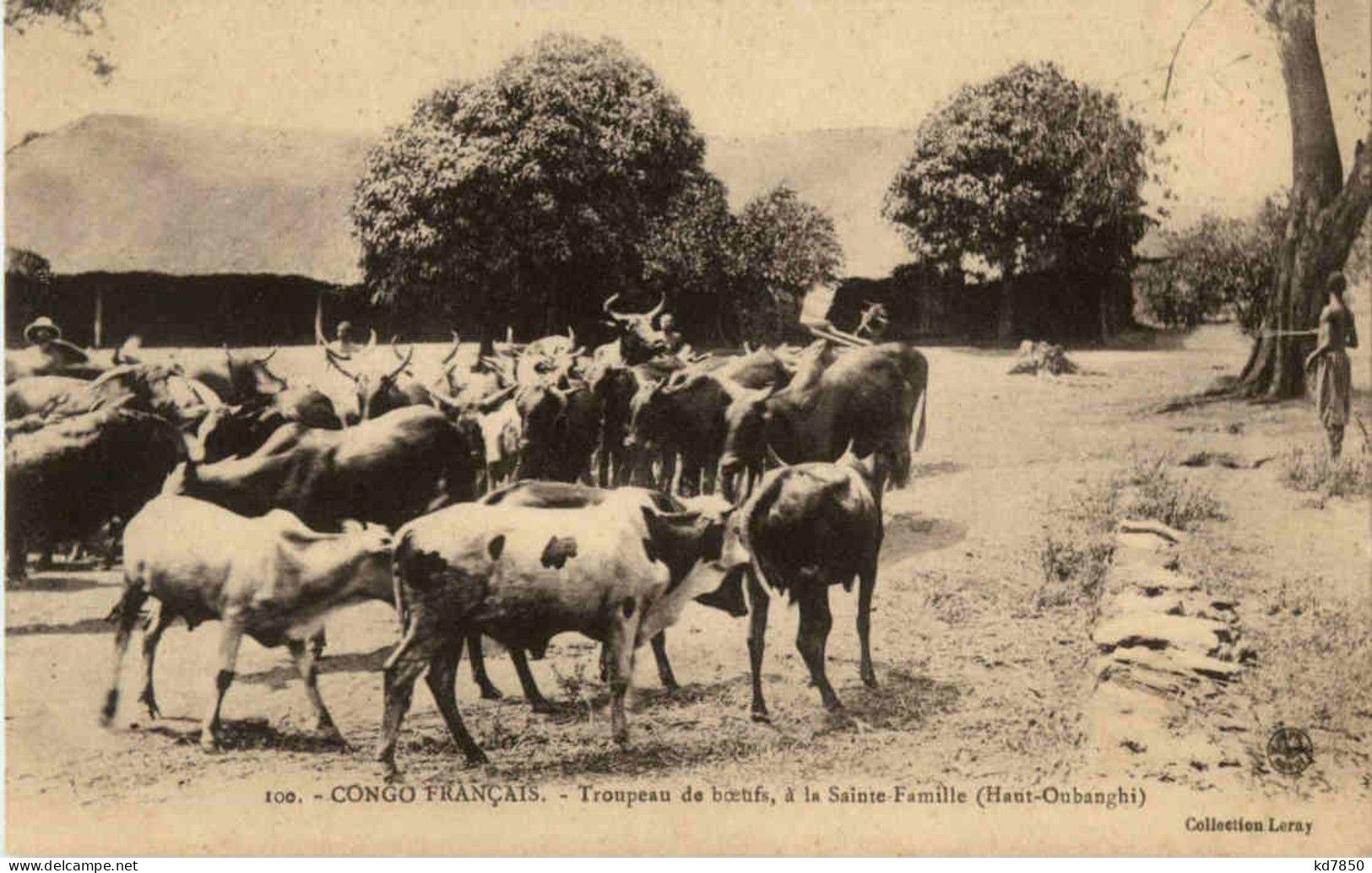 Troupeau A Boefs La Sainte Familie - Otros & Sin Clasificación