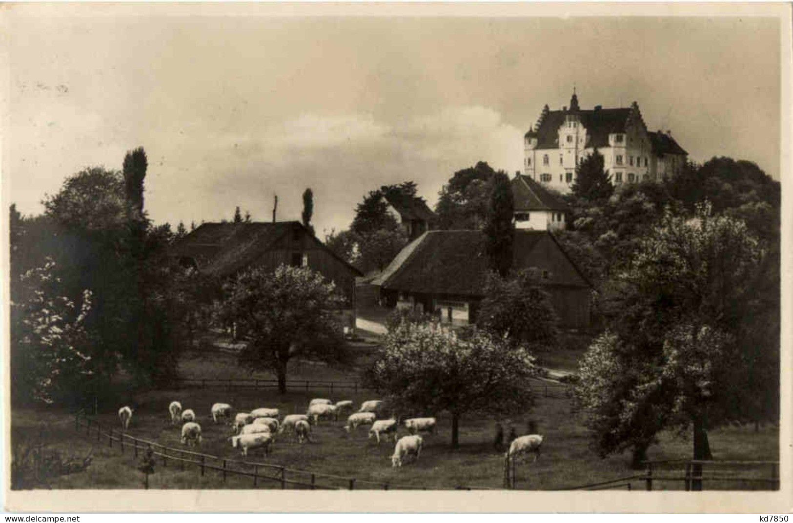 Stettfurt - Schloss Sonnenberg - Sonstige & Ohne Zuordnung