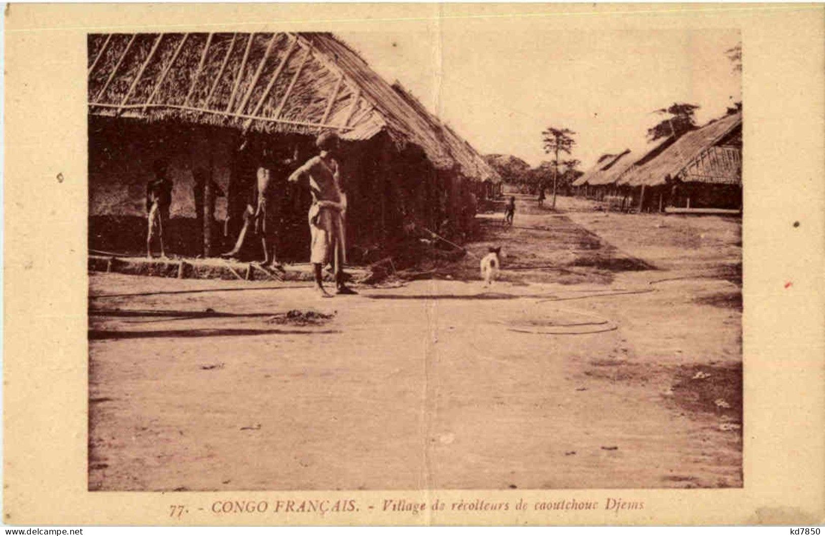 Congo - Village De Recolteurs De Caoutchouc Djems - Other & Unclassified