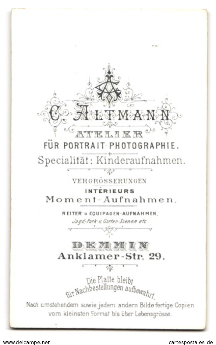 Fotografie C. Altmann, Demmin, Anklamerstr. 29, Portrait Brünette Schönheit Mit Dutt  - Personnes Anonymes