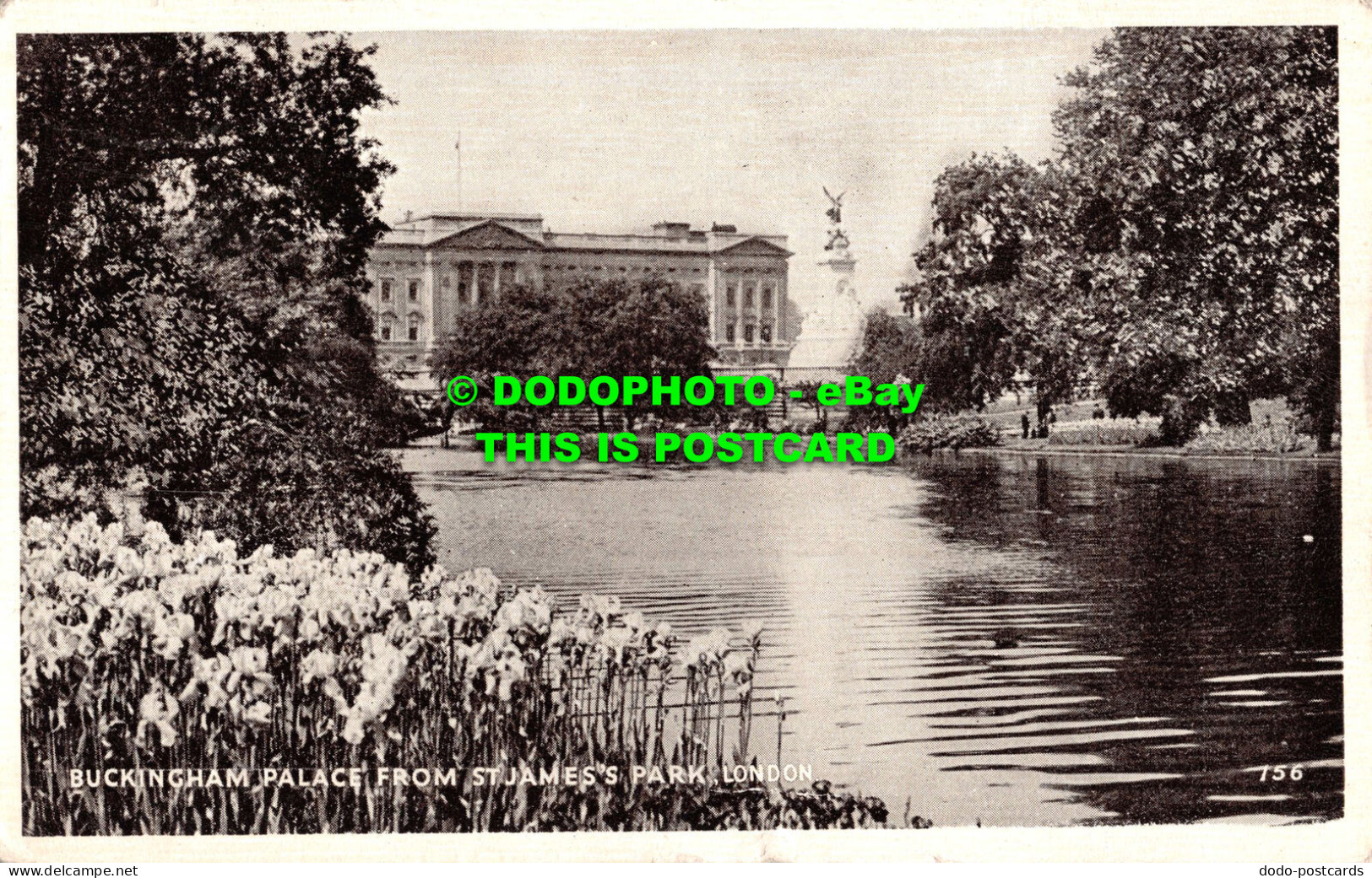 R543323 London. Buckingham Palace From St. James Park. 1949 - Altri & Non Classificati