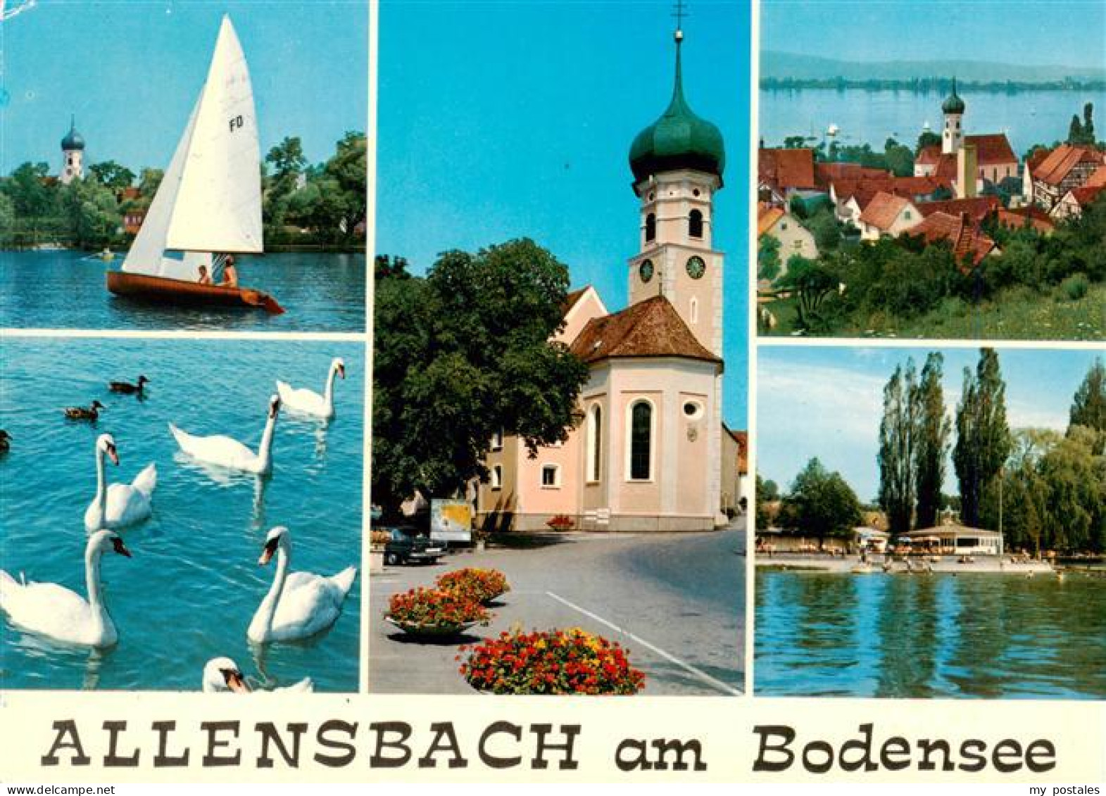 73941496 Allensbach_Bodensee Segeln Schwaene Kirche Bodenseepartien - Autres & Non Classés