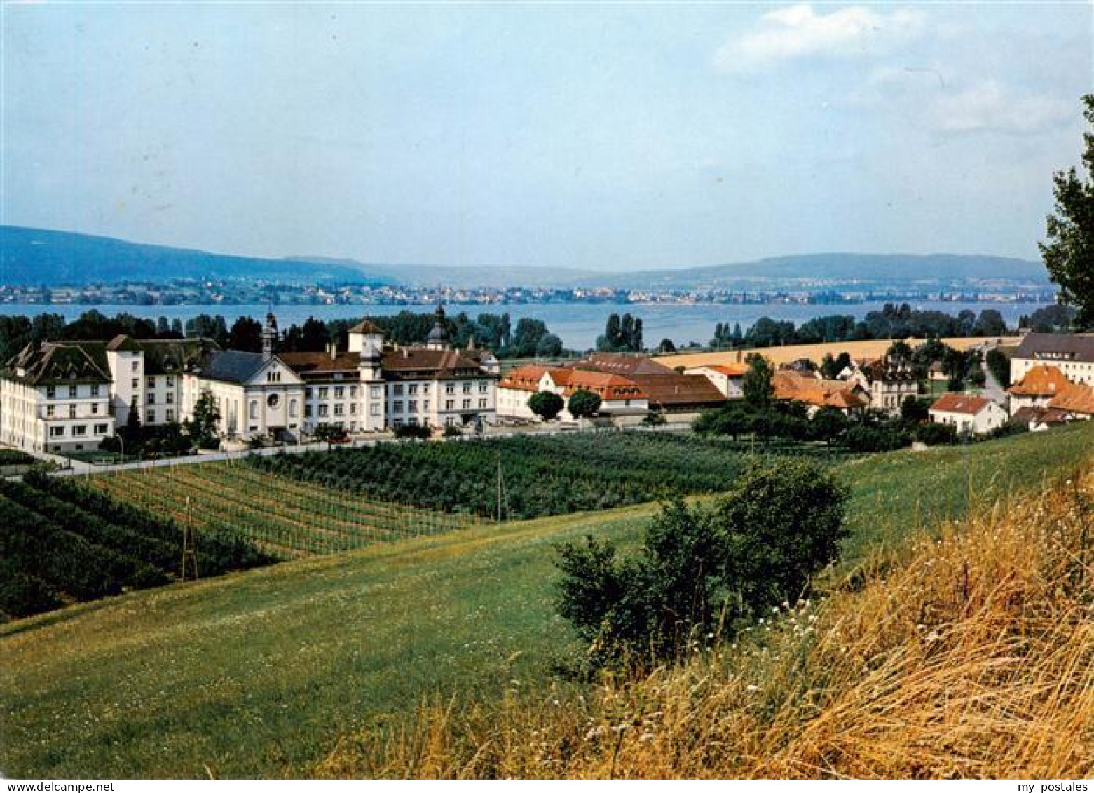 73941495 Hegne_Konstanz Panorama Bodensee - Altri & Non Classificati