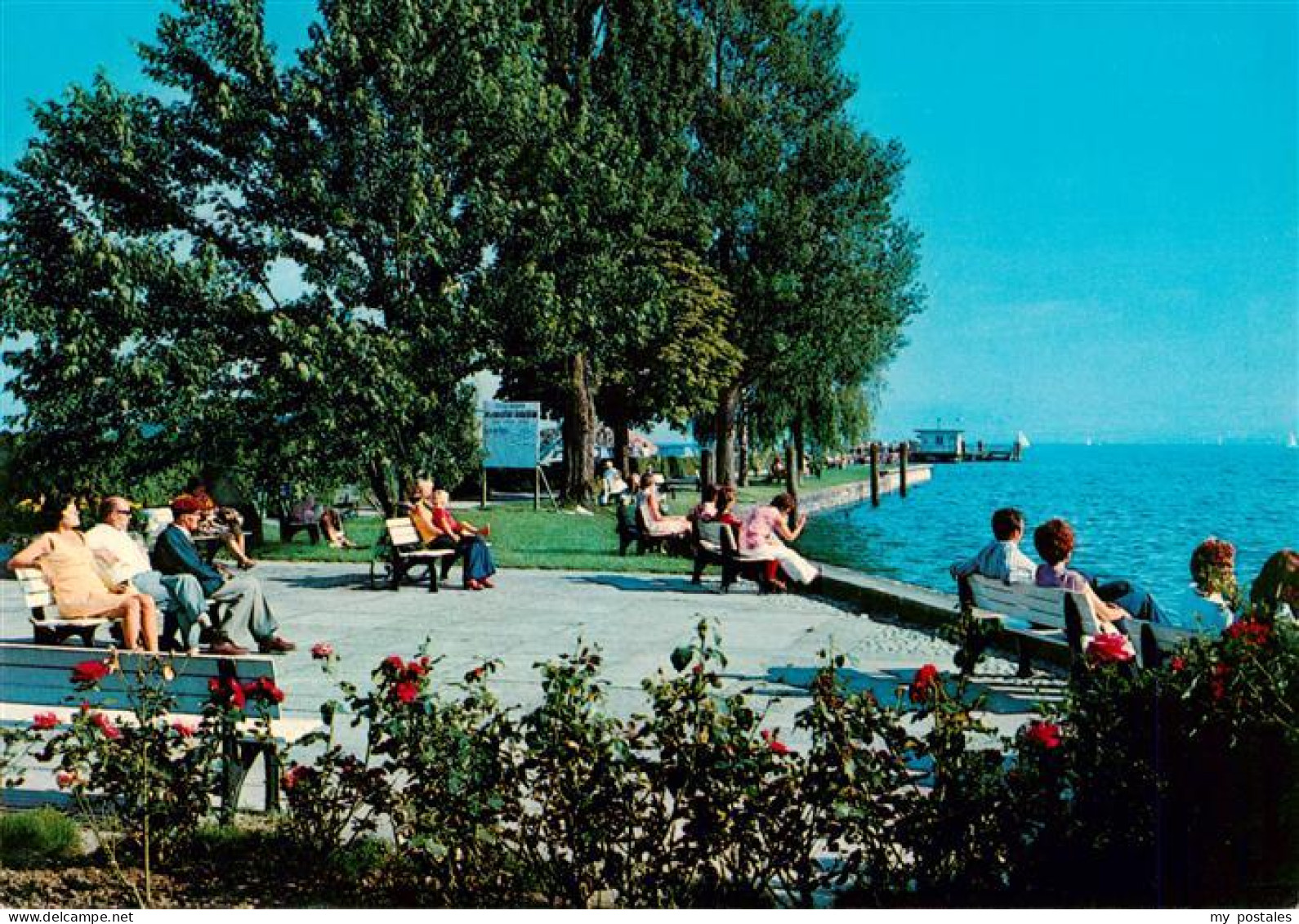 73941482 Immenstaad_Bodensee Promenade - Autres & Non Classés