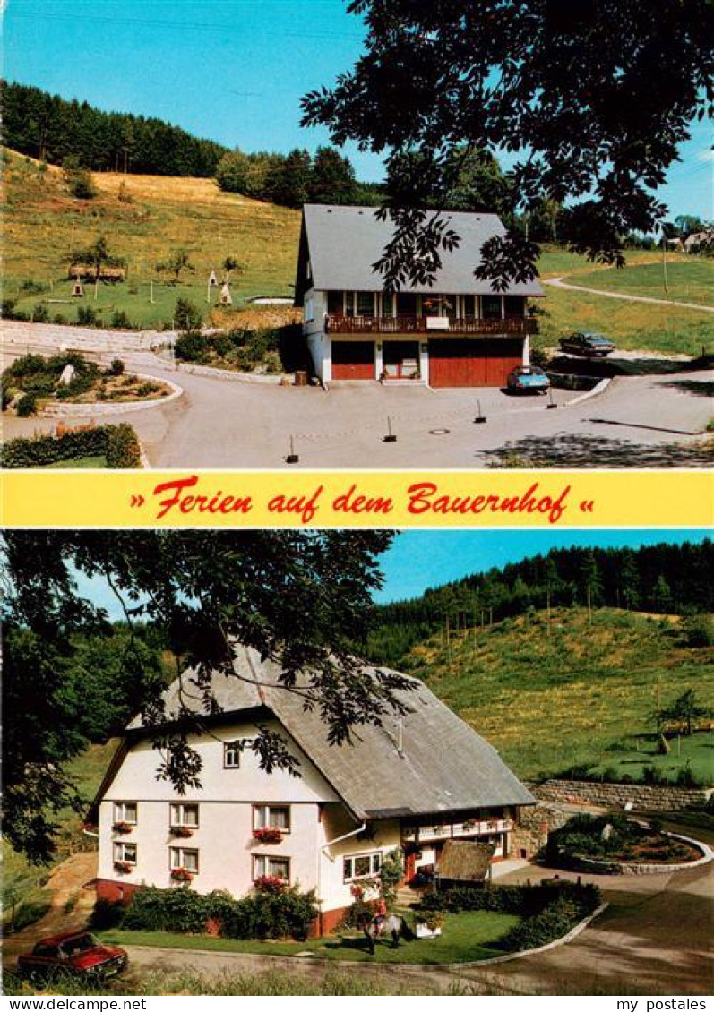 73941461 Nussbach_Schwarzwald Unterer Hohnen Hof Mit Ferienhaus - Triberg