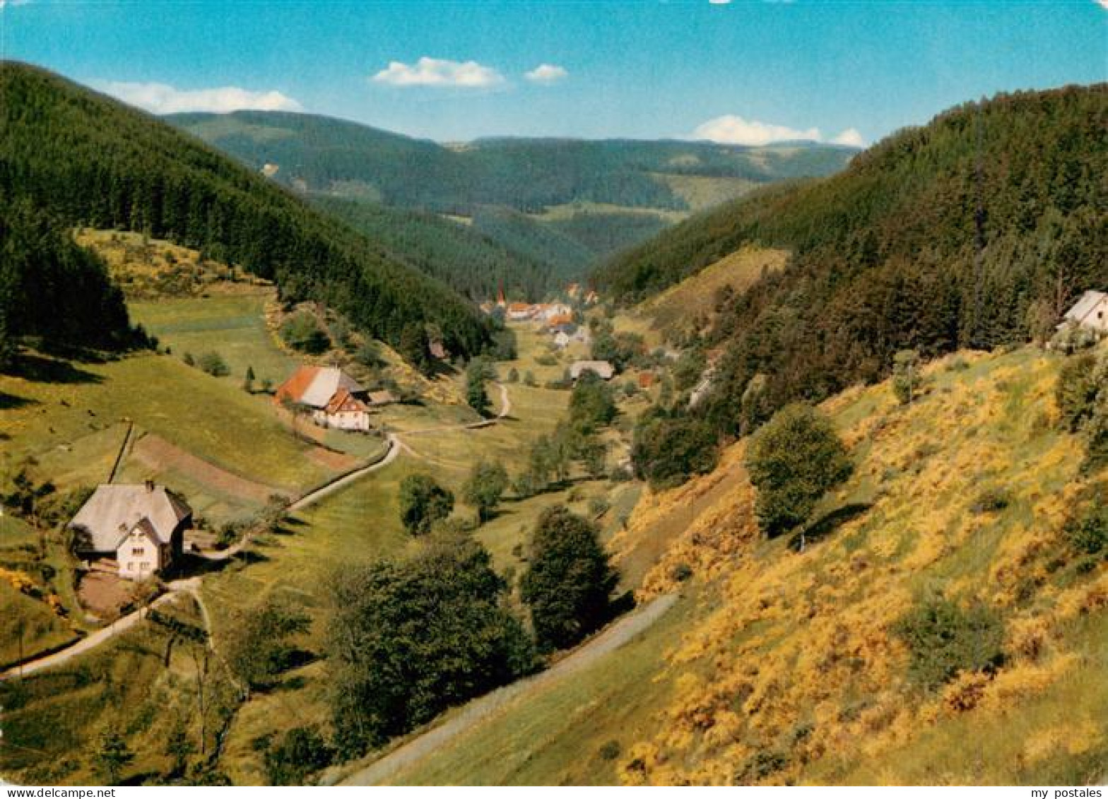 73941459 Nussbach_Schwarzwald Panorama Im Nussbachtal - Triberg