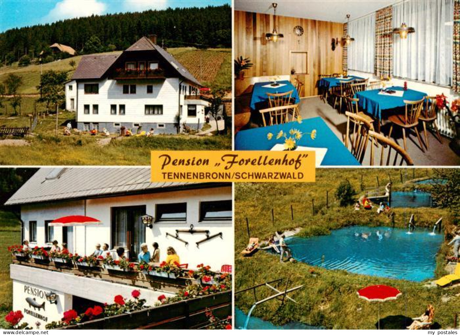 73941438 Tennenbronn Pension Forellenhof Gaststube Balkon Freibad - Schramberg