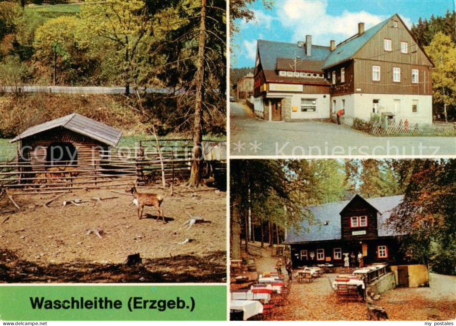 73862283 Waschleithe Tierpark Gaststaetten Osterlamm Und Koehlerhuette Waschleit - Gruenhain