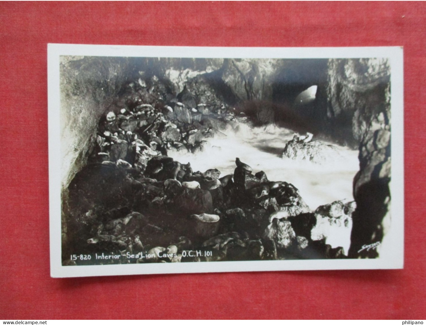 RPPC Interior Sea Lion Cave     Ref 6395 - Other & Unclassified