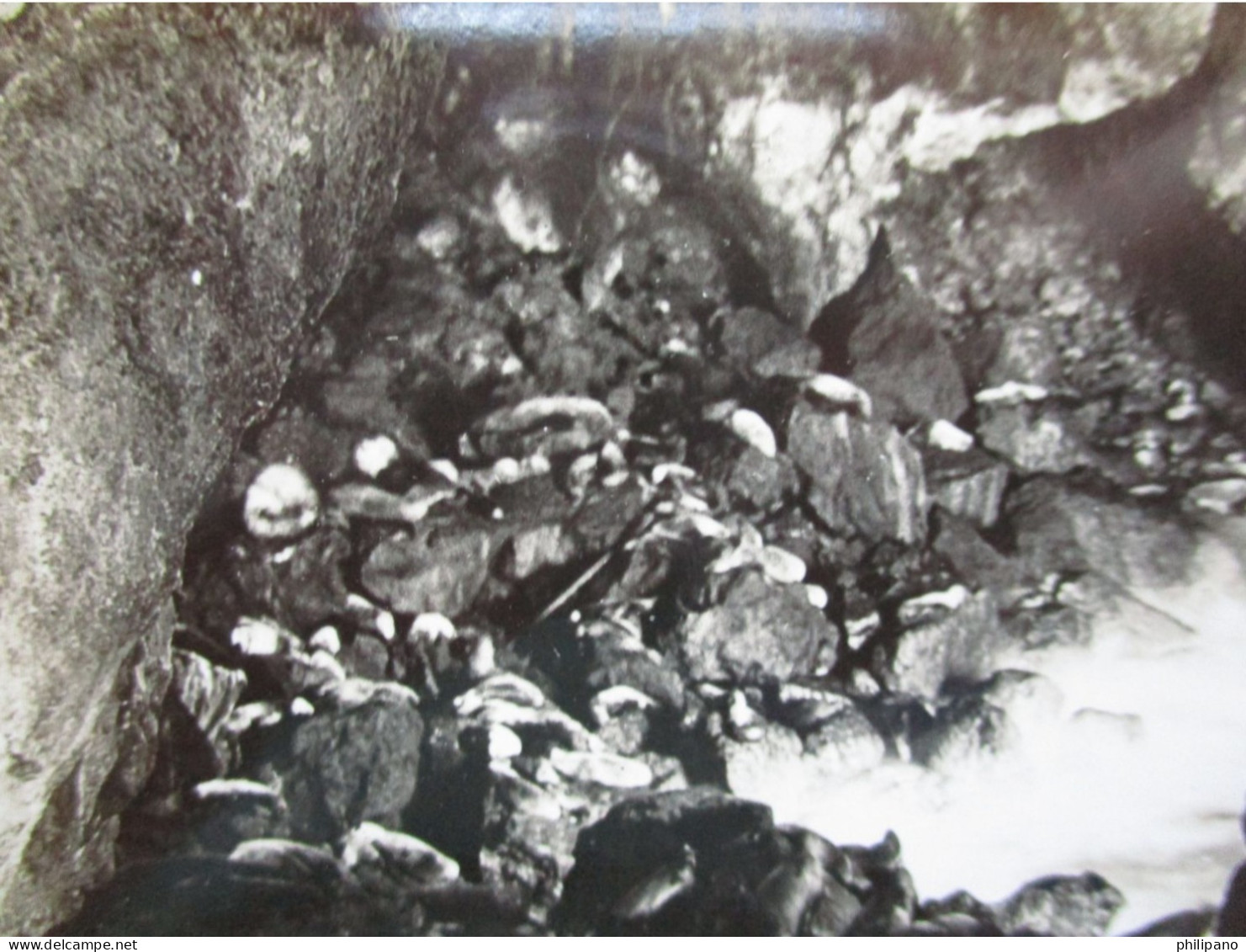 RPPC Interior Sea Lion Cave     Ref 6395 - Autres & Non Classés