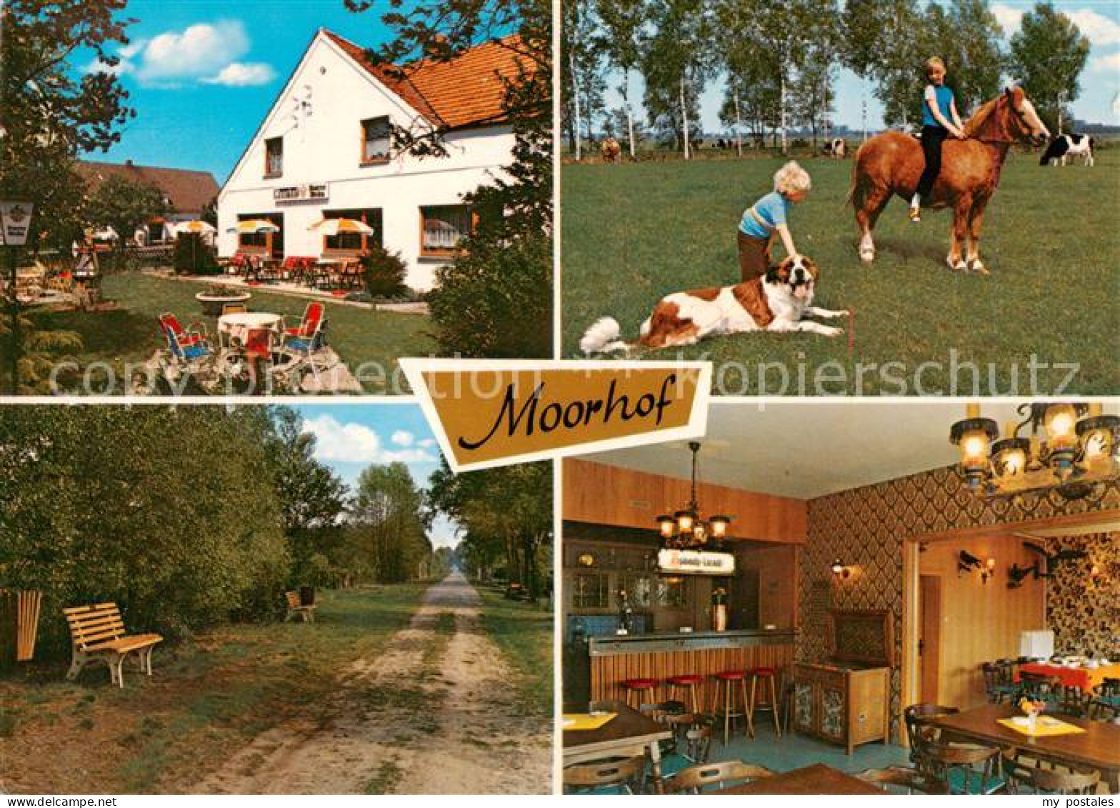 73828916 Moorhof Holstein Gasthaus Moorhof Ponyreiten Waldweg Gaststube Moorhof  - Groemitz
