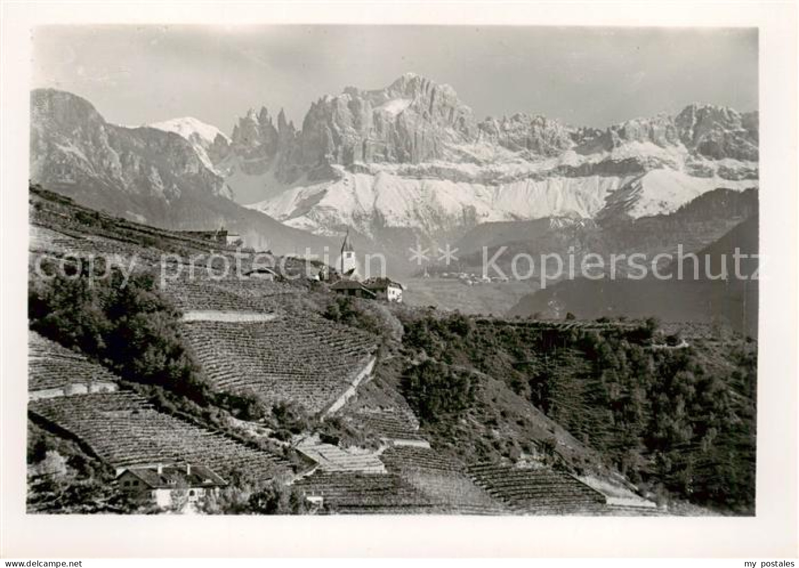 73828790 Bolzano St Justina Mit Rosengarten Bolzano - Autres & Non Classés