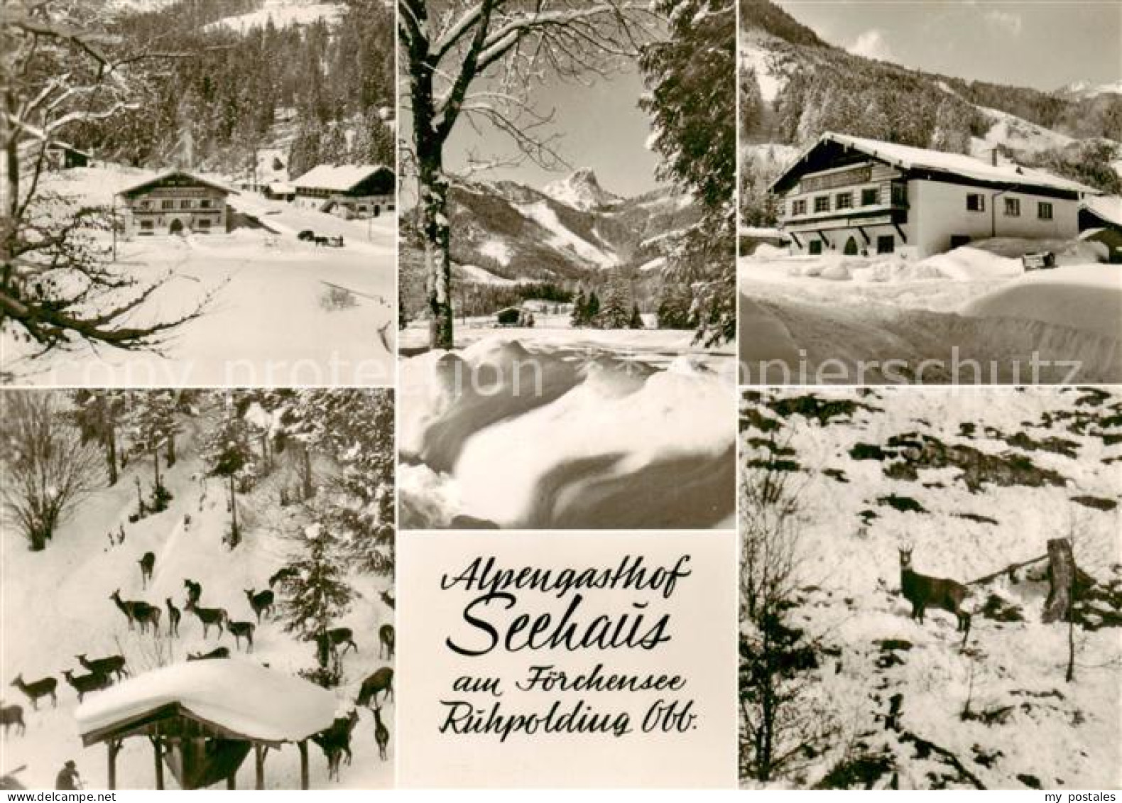 73828770 Ruhpolding Alpengasthof Seehaus Am Foerchensee Winteridylle Wildfuetter - Ruhpolding