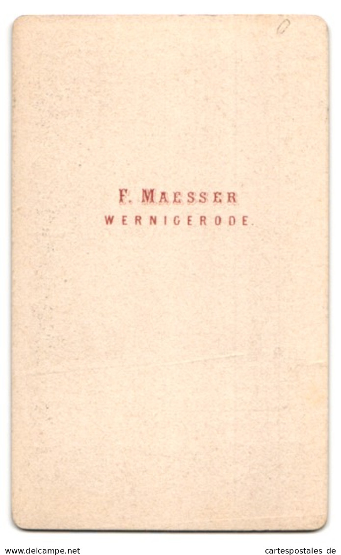 Fotografie F. Maesser, Wernigerode, Hübsches Junges Mädchen Mit Geflochtenen Zöpfen Im Weissen Kleid  - Personnes Anonymes