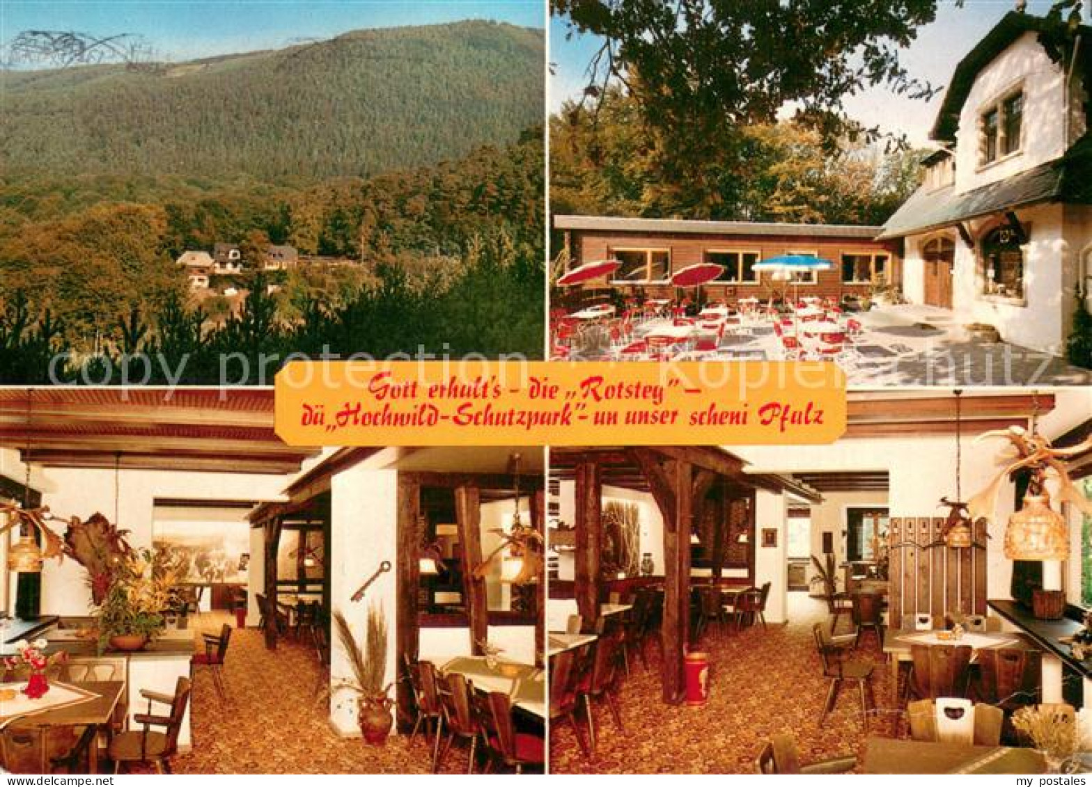 73745904 Wachenheim Weinstrasse Forsthaus Rotsteig Wildspezialitaeten Restaurant - Andere & Zonder Classificatie