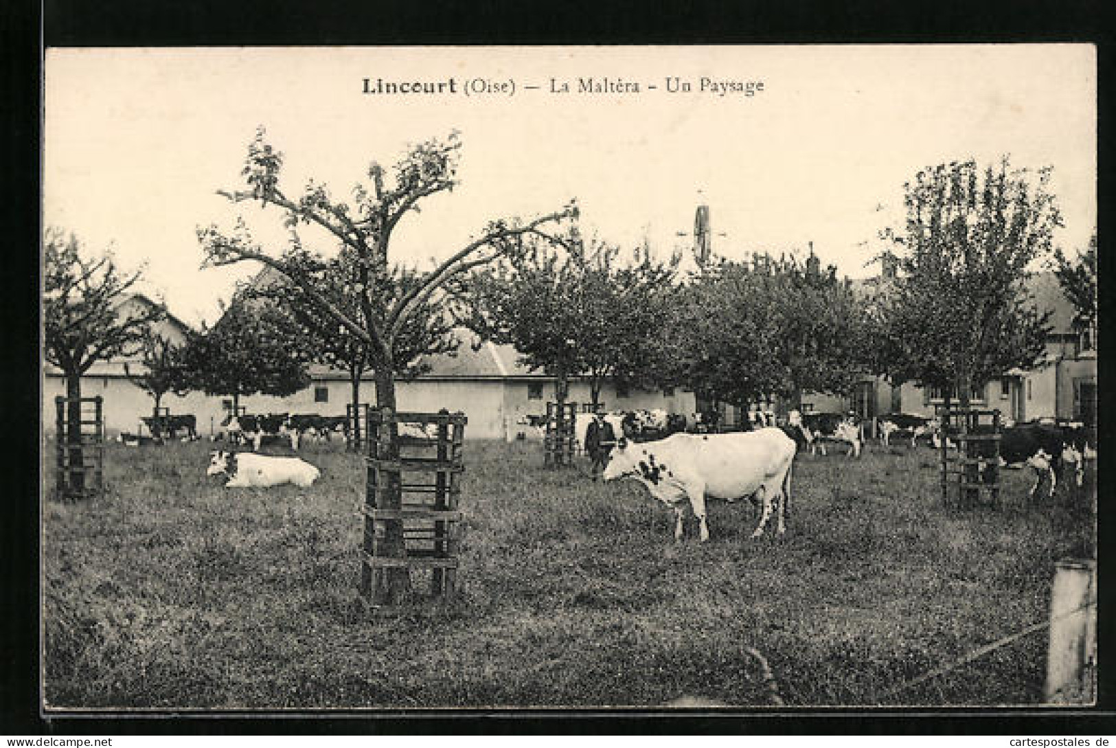 CPA Lincourt, La Maltéra, Un Paysage  - Sonstige & Ohne Zuordnung