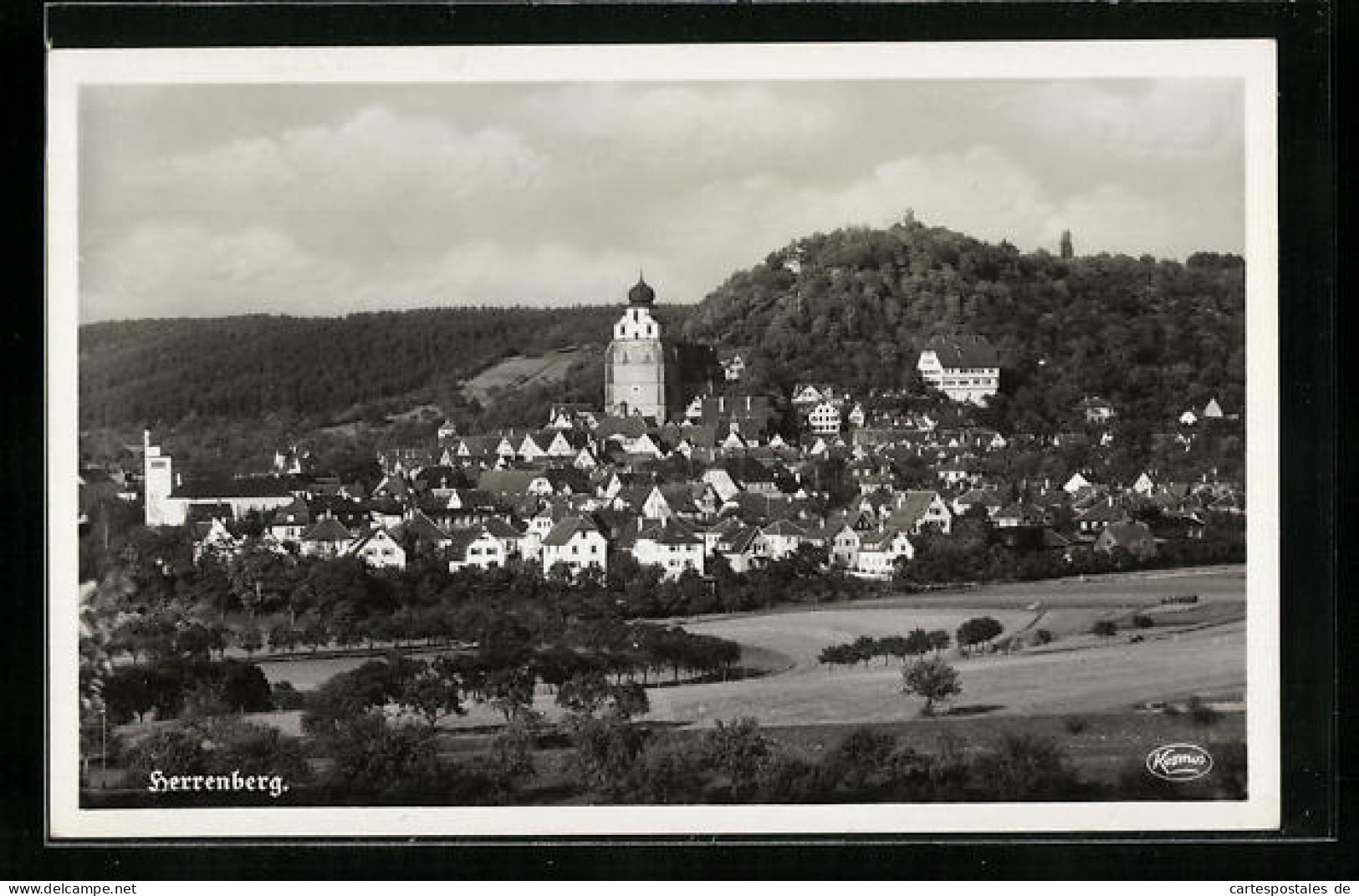 AK Herrenberg / Württemberg, Gesamtansicht  - Herrenberg