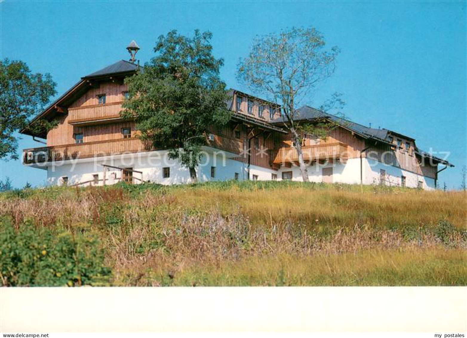 73744982 Mitterfirmiansreut Landhotel Zur Alm Mitterfirmiansreut - Other & Unclassified