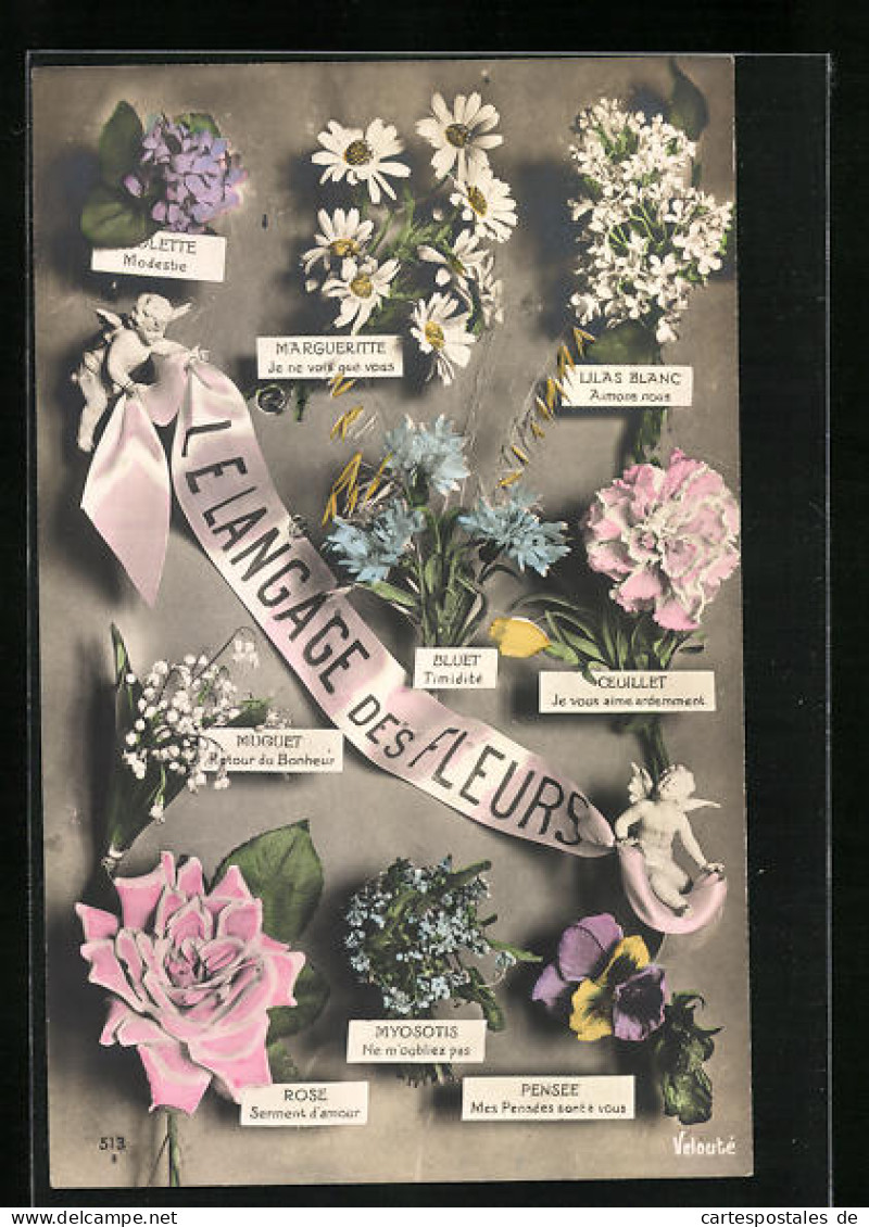 AK Bedeutung Der Blumen, Blumensprache  - Autres & Non Classés