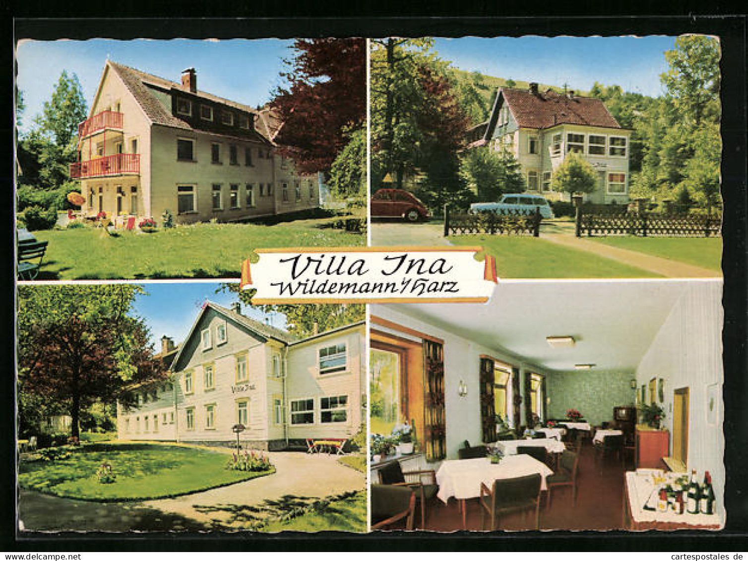 AK Wildemann /Harz, Villa Ina, Bes.: M. L. Friehe  - Wildemann