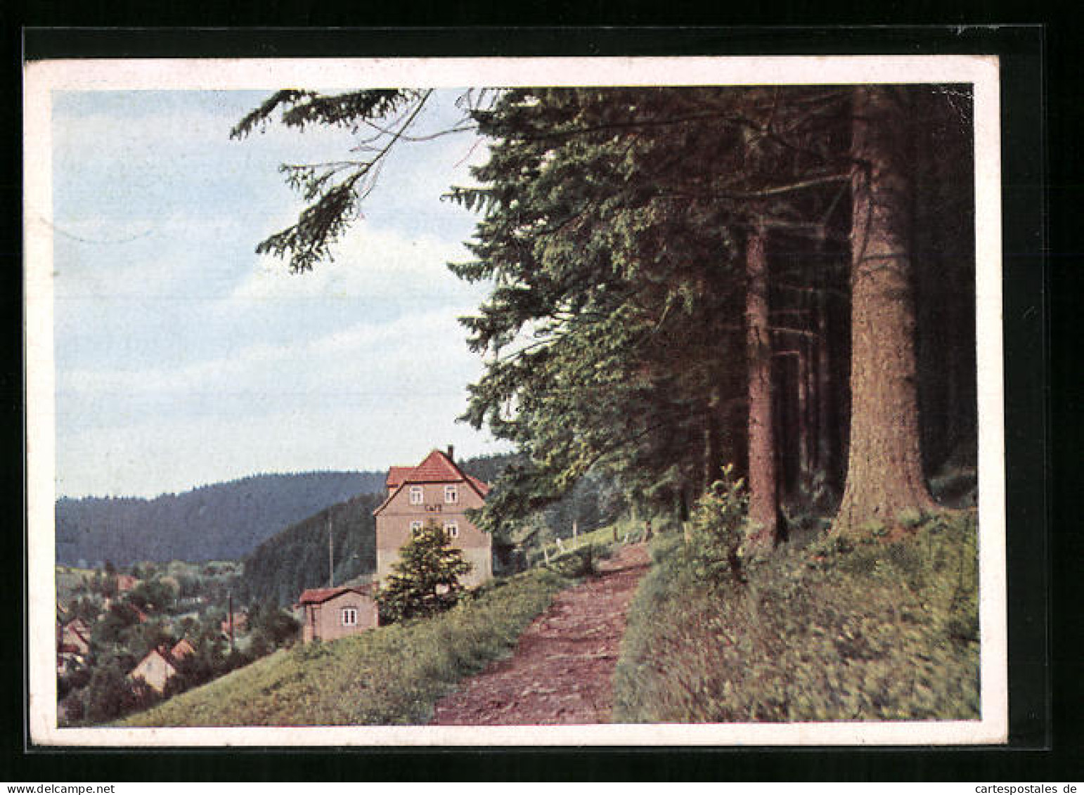 AK Tanne I. Harz, Pension Und Café Sanssouci, Besitzer: Hermann Greese  - Other & Unclassified