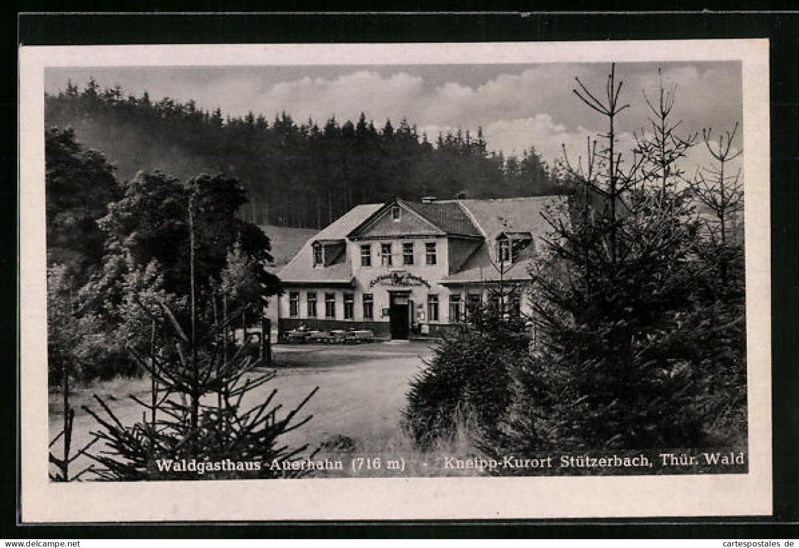 AK Stützerbach I. Thür. Wald, Waldgasthaus Auerhahn  - Sonstige & Ohne Zuordnung