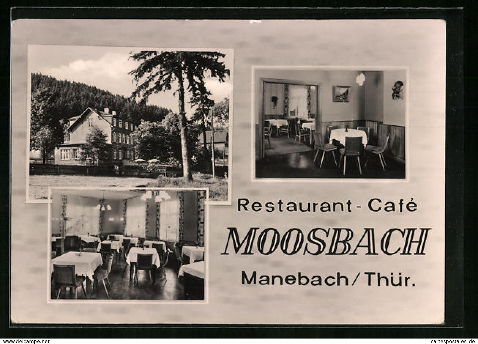 AK Manebach /Thür., Restaurant-Café Moosbach Mit Innenansichten  - Andere & Zonder Classificatie