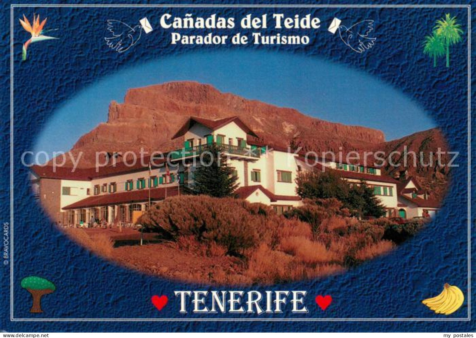 73743863 Tenerife Canadas Del Teide Tenerife - Andere & Zonder Classificatie