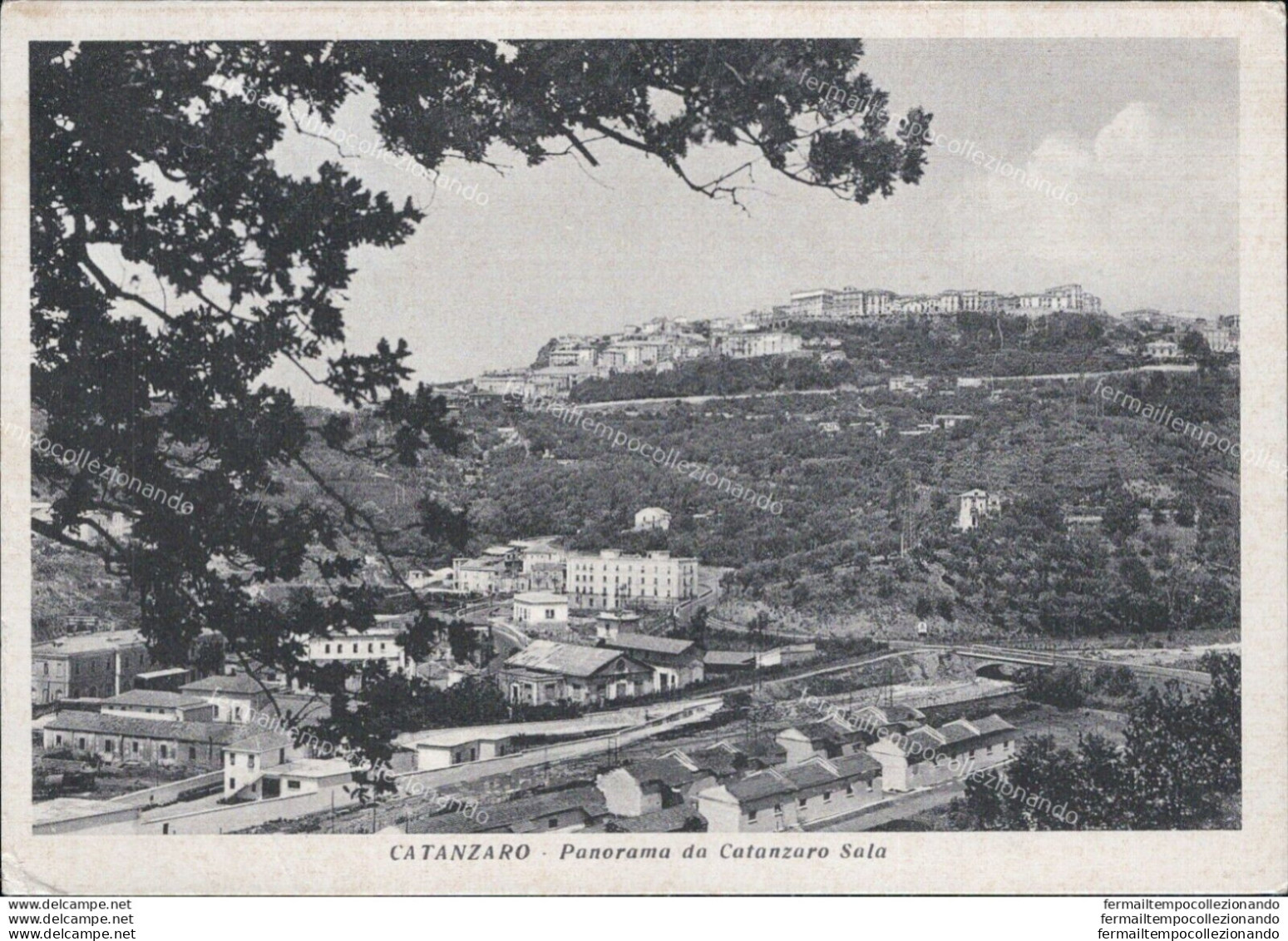 Ar522 Cartolina Catanzaro Citta' Panorama Da Sala - Catanzaro
