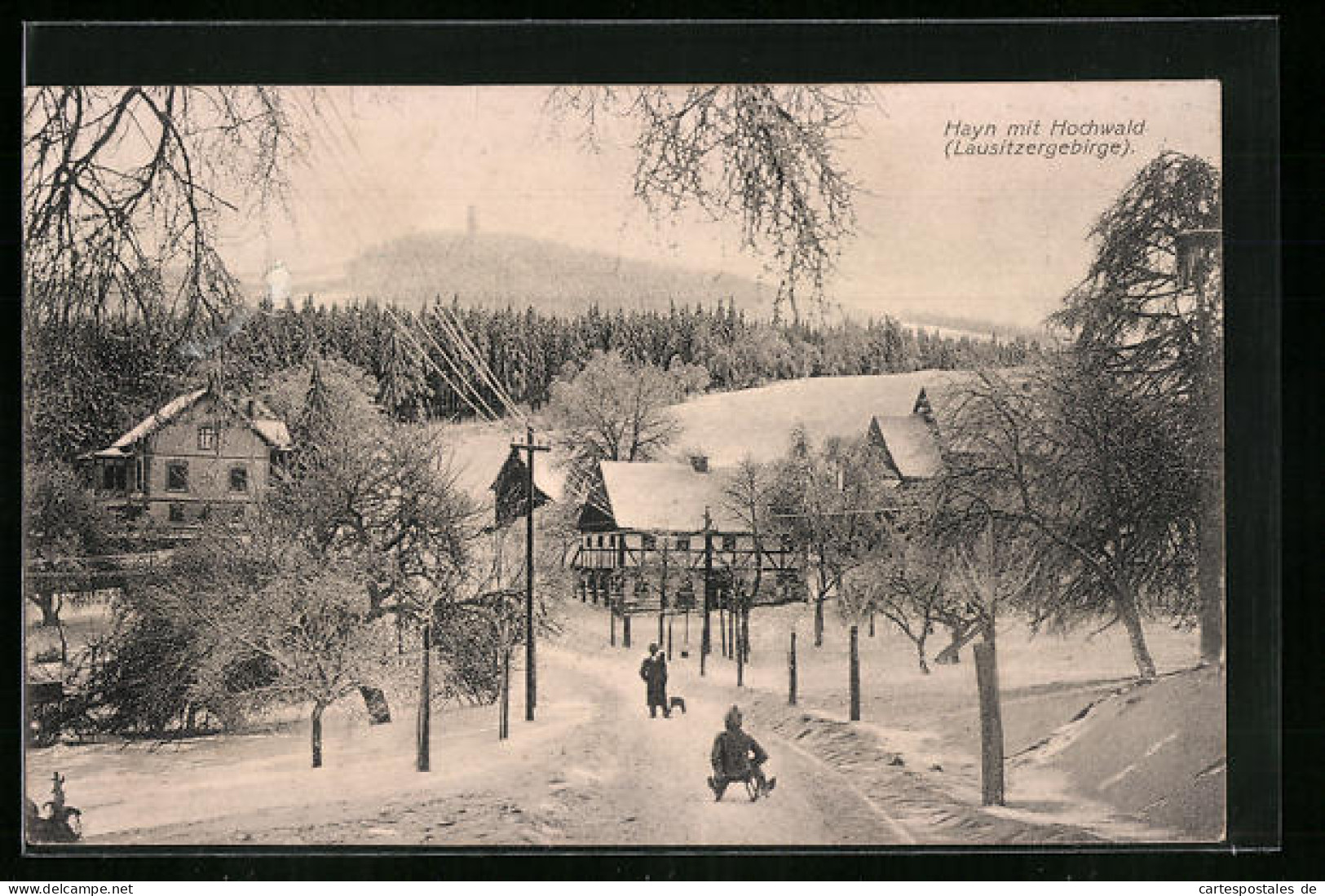 AK Hayn /Lausitzergebirge, Ortspartie Im Winter  - Sonstige & Ohne Zuordnung