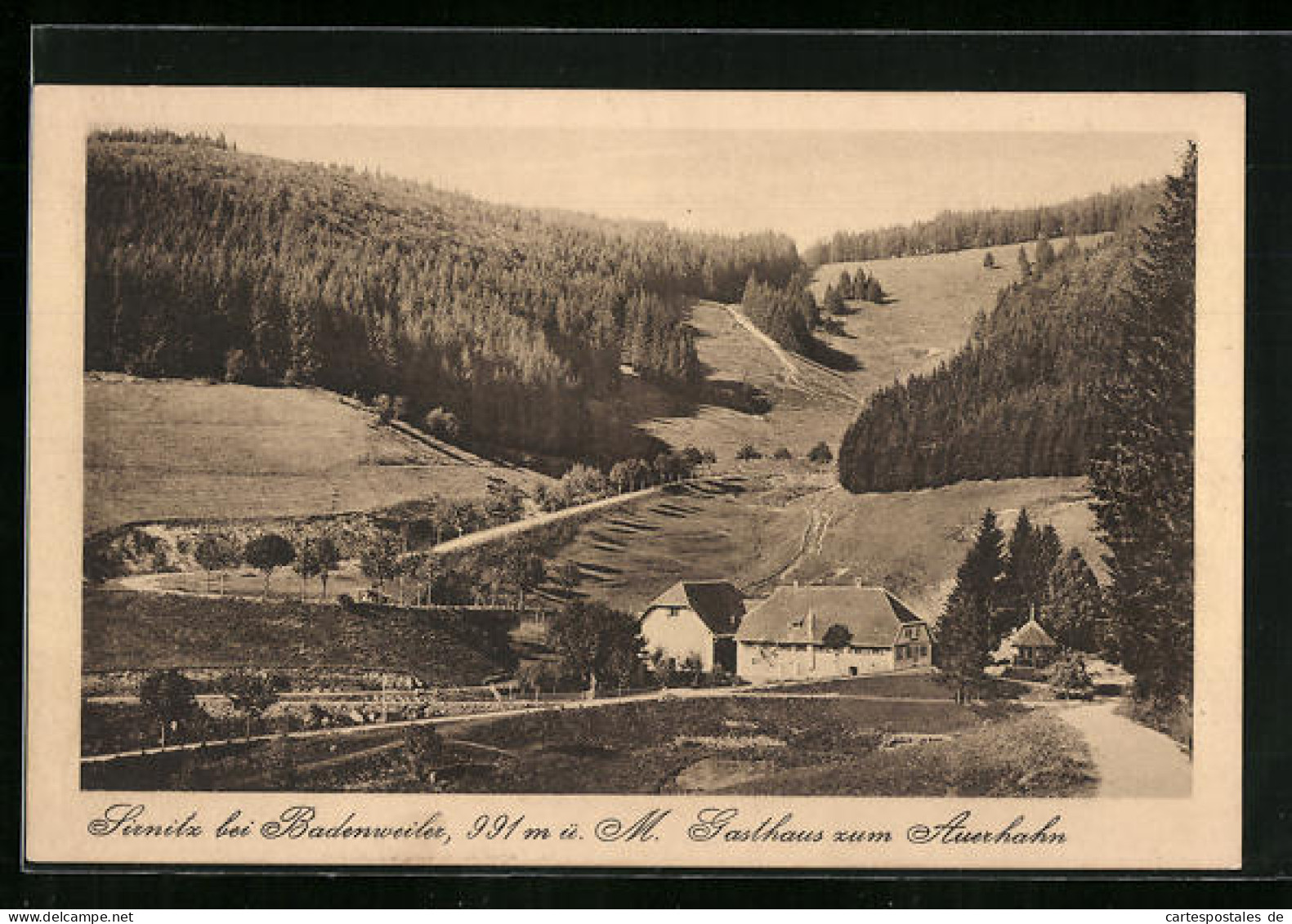 AK Sirnitz Bei Badenweiler, Gasthaus Zum Auerhahn  - Badenweiler