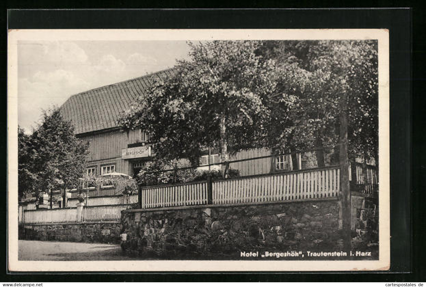 AK Trautenstein /Harz, Hotel Bergeshöh  - Autres & Non Classés