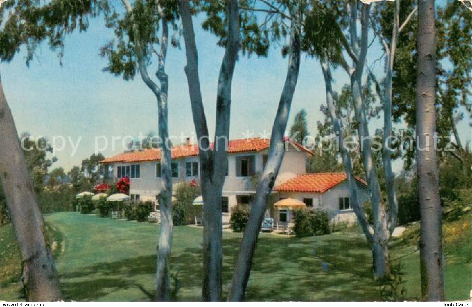73764480 Santa_Fe__California Camellia Cottage The Inn - Autres & Non Classés