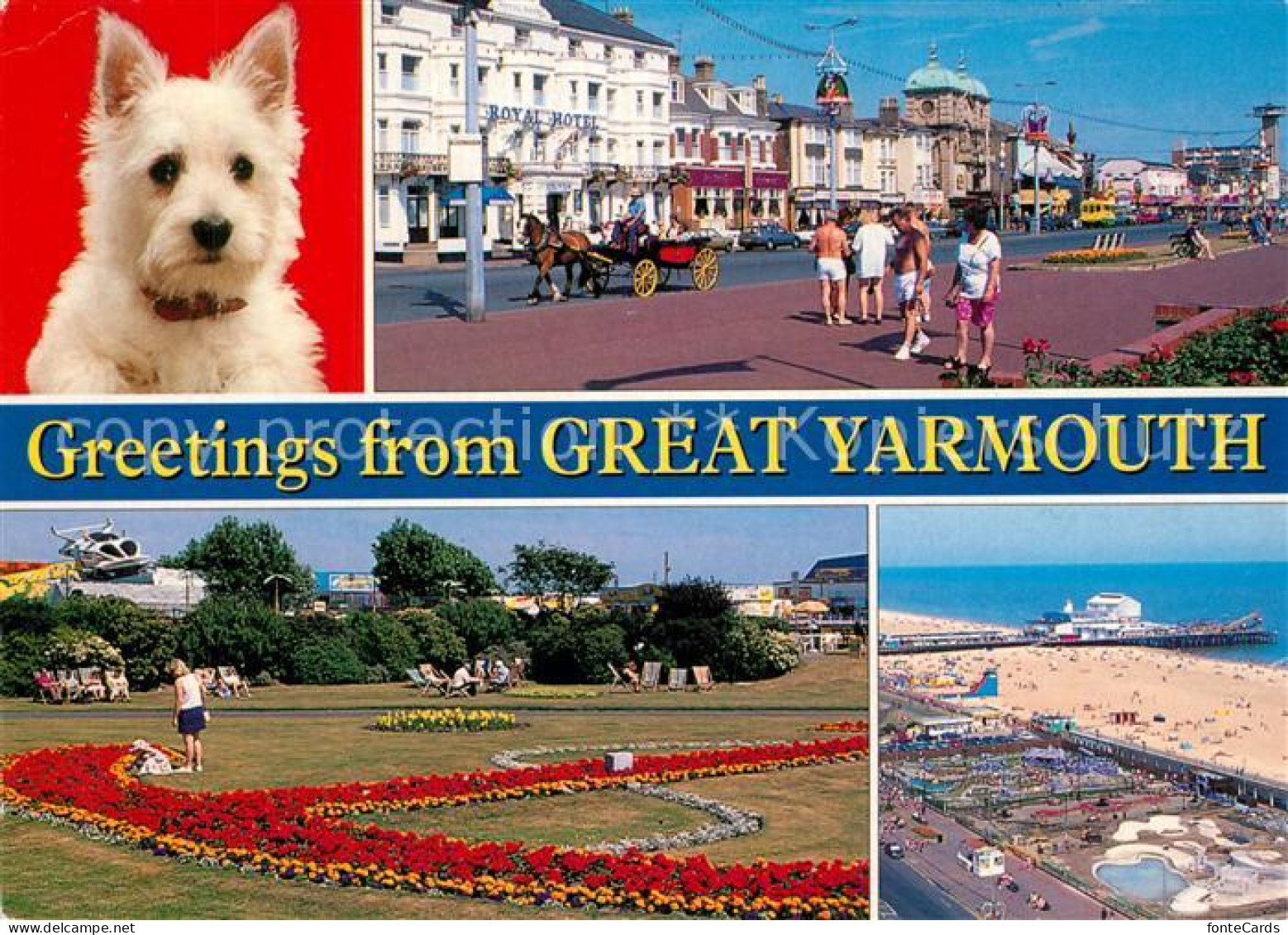 73607245 Yarmouth Dog Royal Hotel Street Scene Park Beach  - Altri & Non Classificati