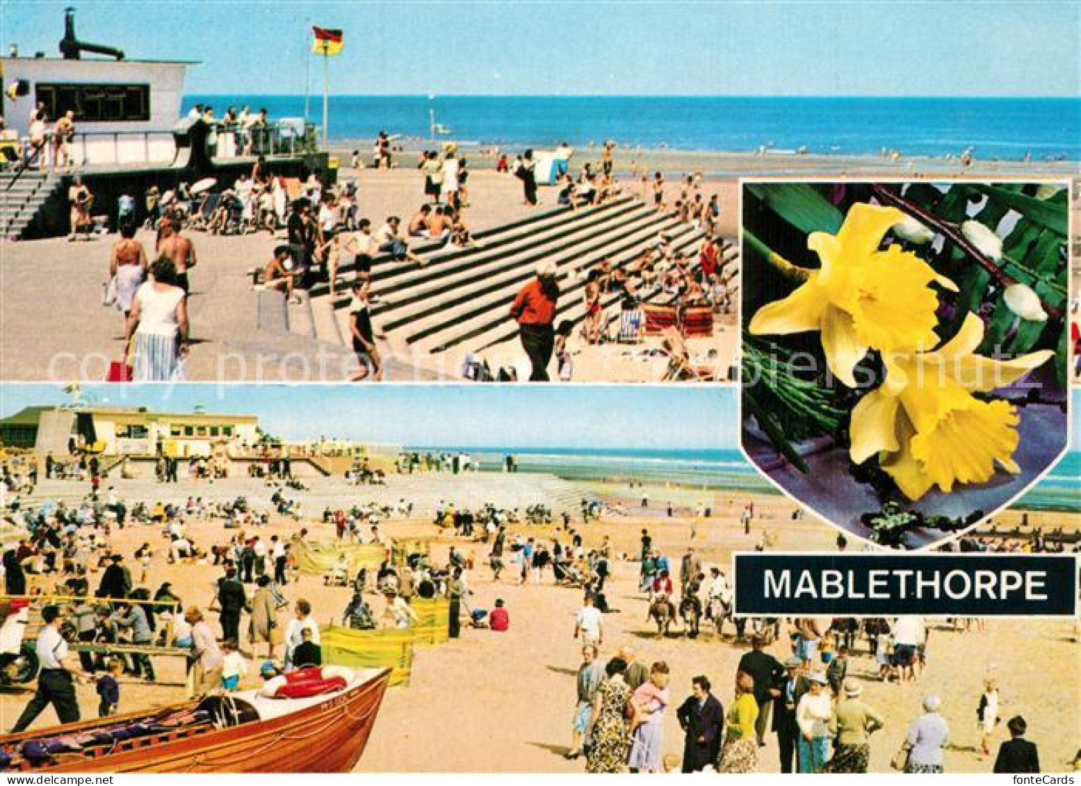 73607234 Mablethorpe East Lindsey Beach And Promenade Flowers  - Autres & Non Classés