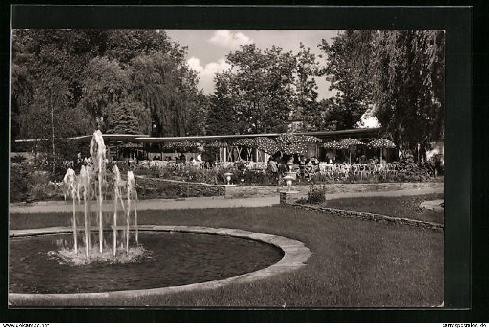 AK Zweibrücken, Rosengarten Mit Springbrunnen Und Café Dornröschen  - Zweibrücken