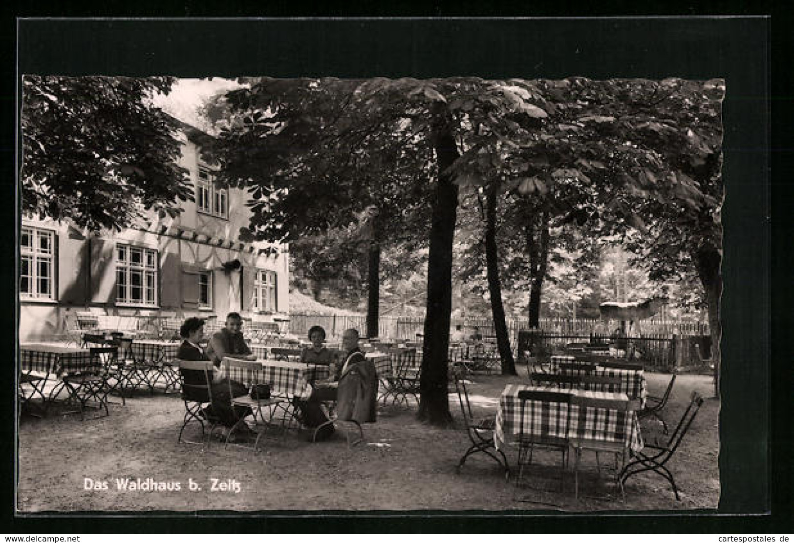 AK Zeitz, Restaurant Das Waldhaus, Aussenbereich Mit Gästen  - Zeitz