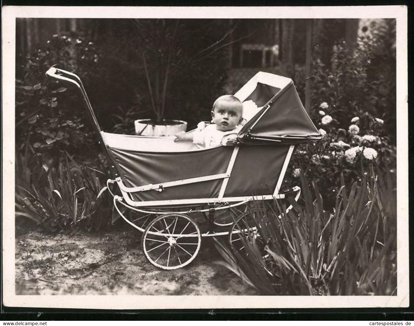 Fotografie Niedliches Baby Im Kinderwagen Sitzend  - Other & Unclassified