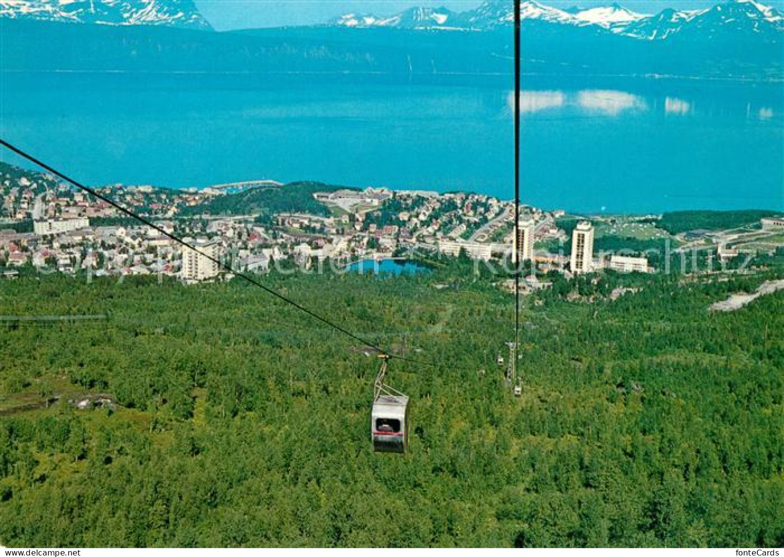 73595883 Narvik View From The Mountain Lift Narvik - Norway