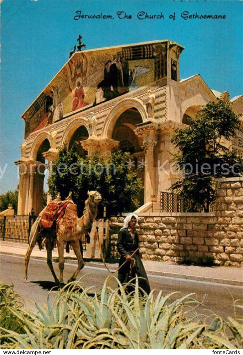73592803 Jerusalem Yerushalayim Church Of Gethsemane Jerusalem Yerushalayim - Israel