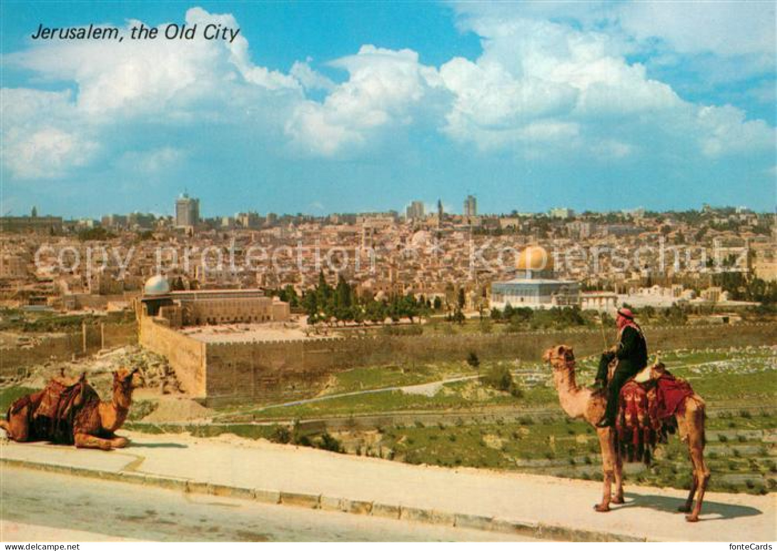 73591096 Jerusalem Yerushalayim Altstadt Blick Vom Olivenberg Camelreiter Jerusa - Israel
