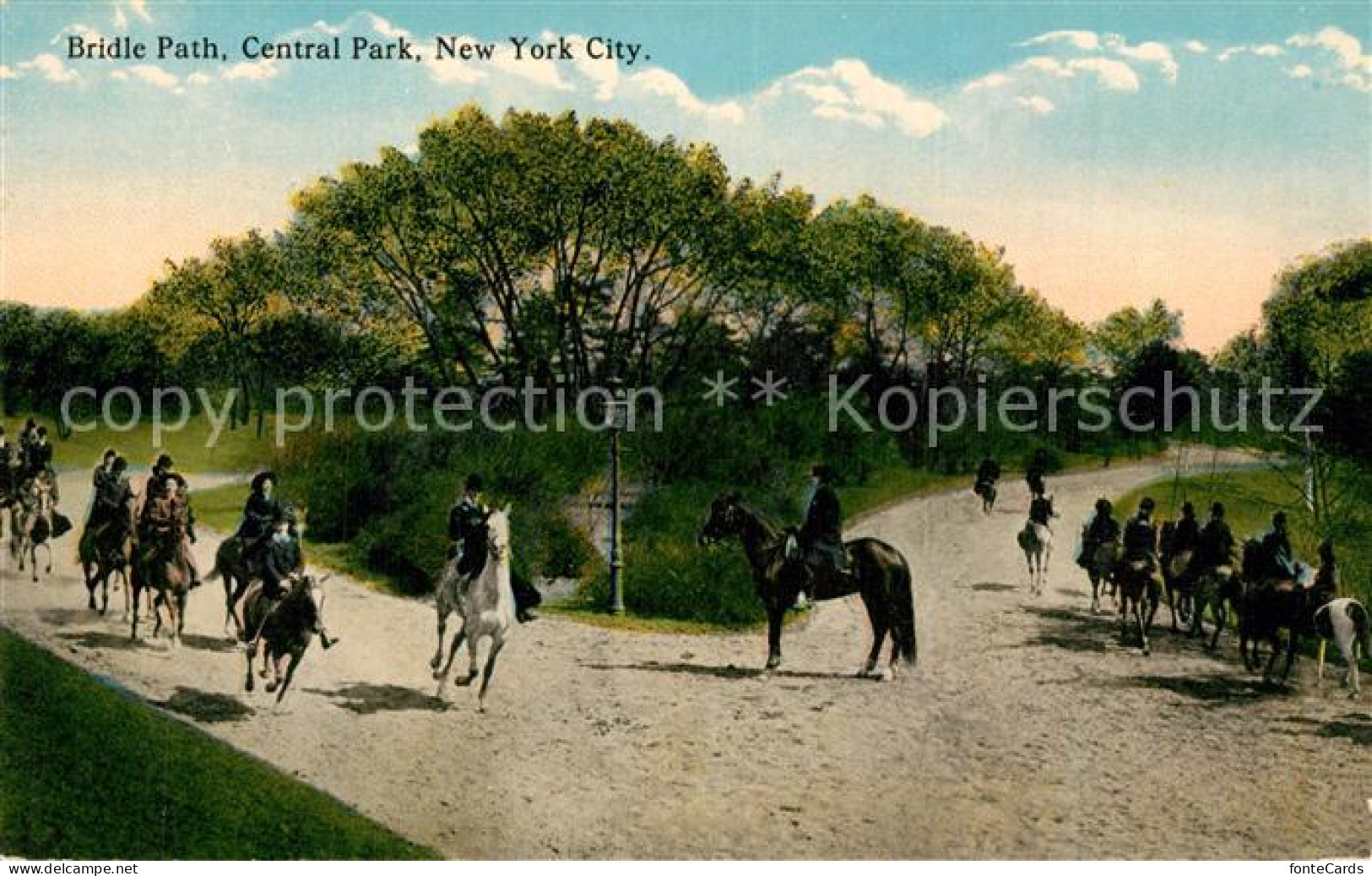 73588855 New_York_City Bridle Path Central Park - Other & Unclassified
