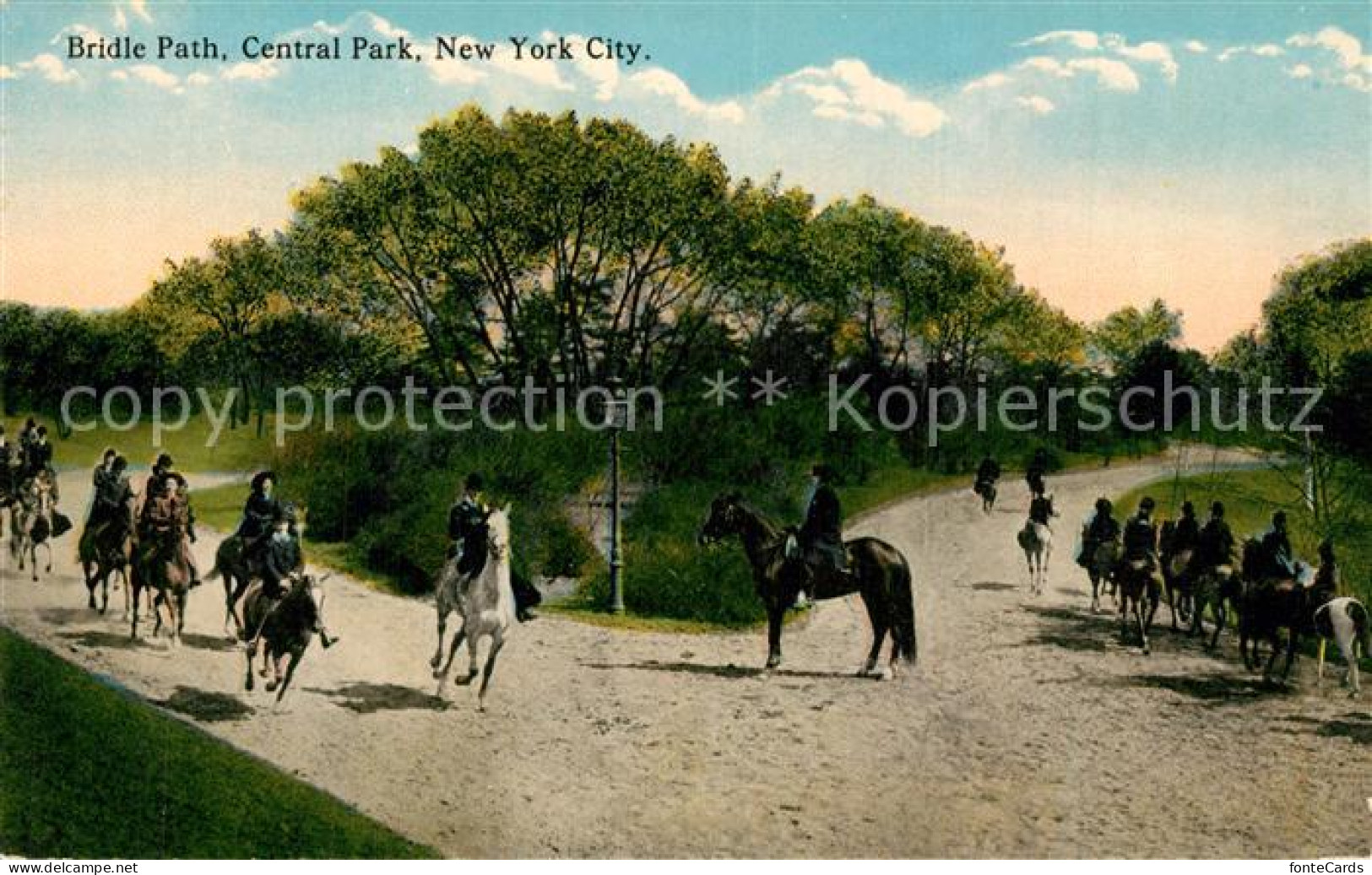 73588855 New_York_City Bridle Path Central Park - Altri & Non Classificati