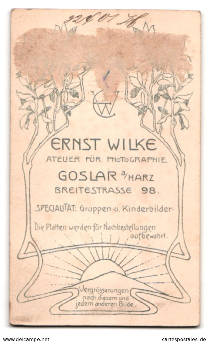 Fotografie Ernst Wilke, Goslar, Breitestrasse 98, ältere Dame Im Rüschenkleid  - Anonymous Persons