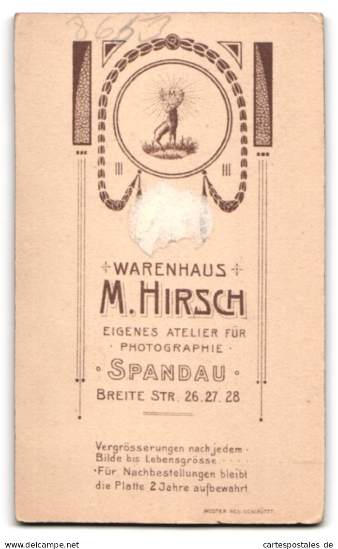 Fotografie M. Hirsch, Spandau, Breite Strasse 26, Elegante Dame Mit Blumenhut  - Anonyme Personen